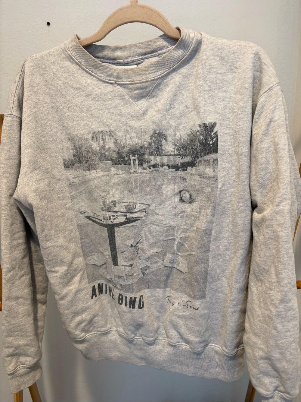 ANINE BING Light Gray Graphic Crewneck Sweatshirt